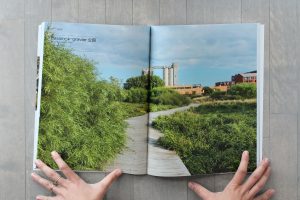 Landscape Design Magazine -Bassin-à-Gravier